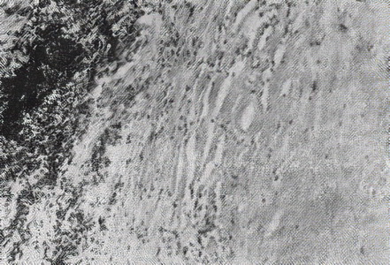 исход некроза исход некроза