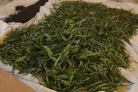 Подвяливание иван чая Подвяливание иван чая