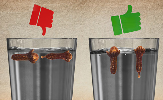 Качественная и некачественная гвоздика Качественная и некачественная гвоздика