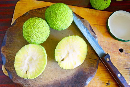 Как приготовить настойку Как приготовить настойку