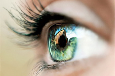 как укрепить сетчатку глаза как укрепить сетчатку глаза