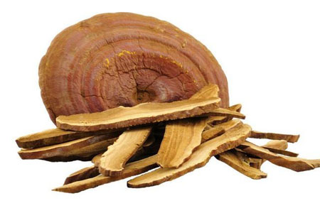 Как принимать гриб рейши Как принимать гриб рейши