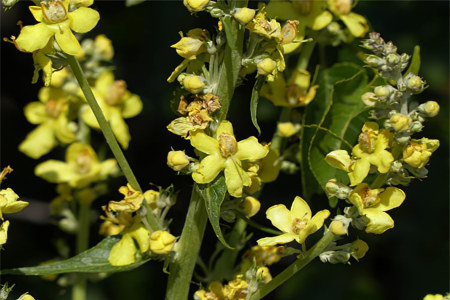 Как собирать Как собирать