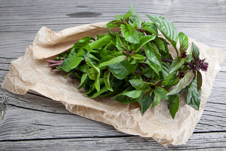 как выбрать и как хранить как выбрать и как хранить