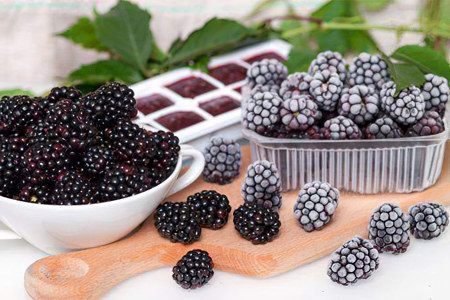 Как выбрать и хранить ежевику Как выбрать и хранить ежевику