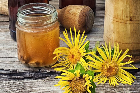 Как заваривать девясил Как заваривать девясил