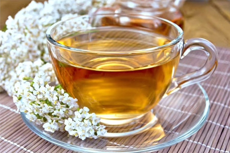 Как правильно заваривать тысячелистник Как правильно заваривать тысячелистник