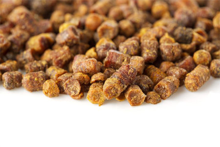 Что такое перга Что такое перга