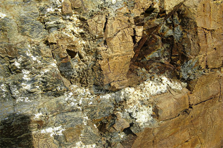 Что такое каменное масло Что такое каменное масло