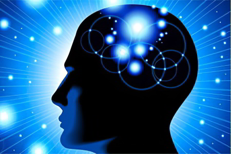 Катехоламиновая теория Катехоламиновая теория