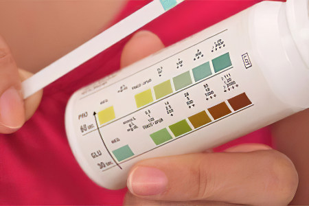 на низкоуглеводной диете на низкоуглеводной диете