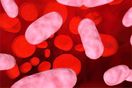 Кишечная инфекция Кишечная инфекция