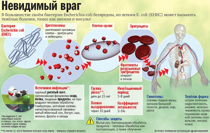 Причины кишечной инфекции Причины кишечной инфекции