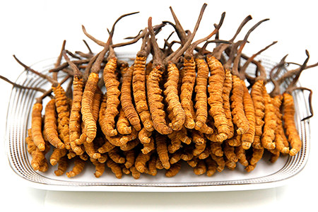 Кордицепс Кордицепс