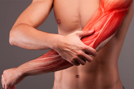 Крепатура Крепатура