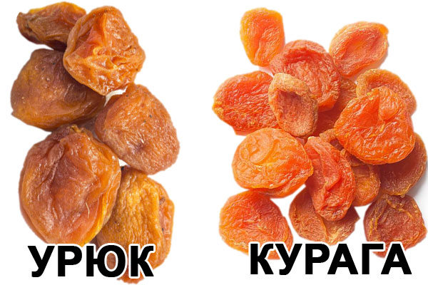Урюк и курага Урюк и курага