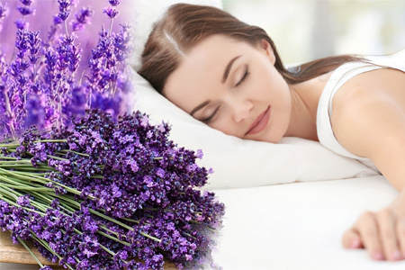 Улучшает сон Улучшает сон