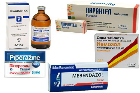 Лечение остриц Лечение остриц