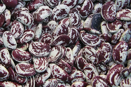 Лимская фасоль Лимская фасоль