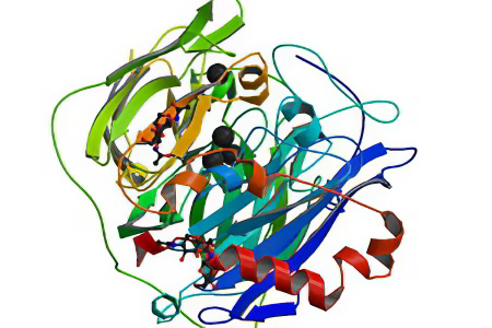 Липаза Липаза