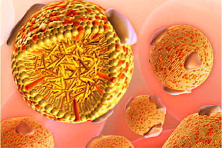 ЛПОНП ЛПОНП