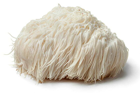 Львиная грива Львиная грива