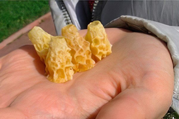 Маточное молочко Маточное молочко