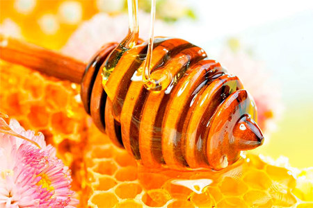 Польза мёда татарника Польза мёда татарника