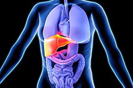 механическая желтуха механическая желтуха