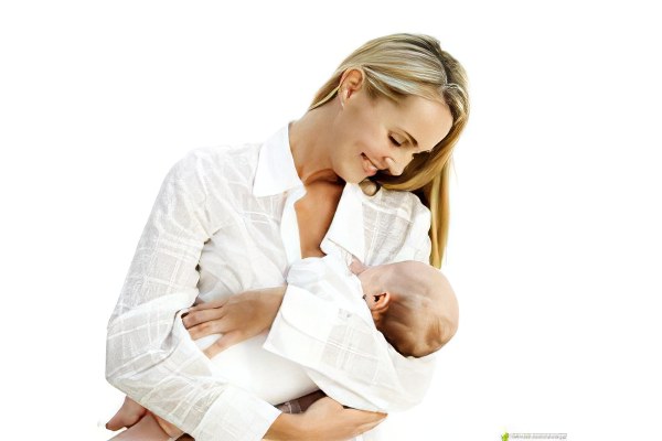 Можно ли есть финики Можно ли есть финики