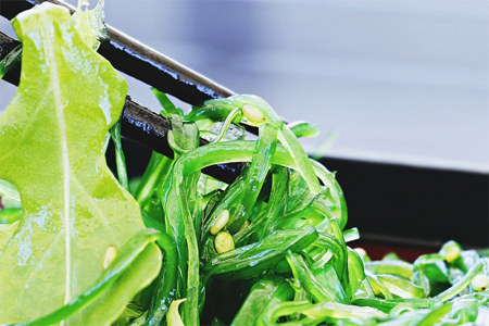 Морская капуста в диетологии Морская капуста в диетологии