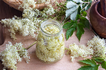 Настойка лабазника Настойка лабазника