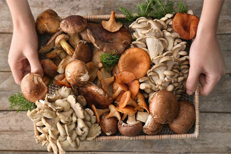 Научно доказанные Научно доказанные