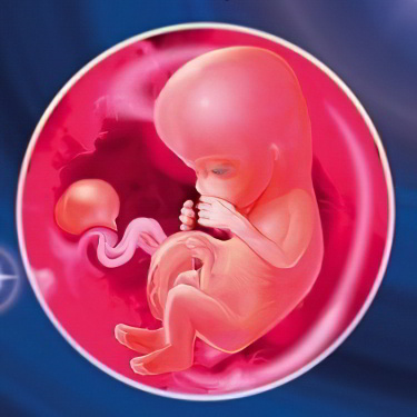 Что происходит с малышом Что происходит с малышом