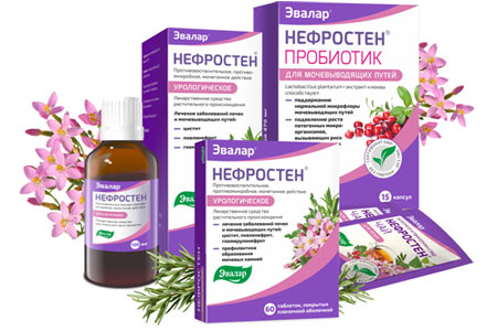 Нефростен Нефростен