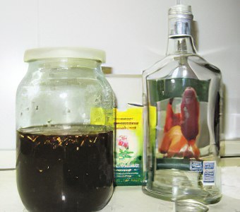 настойка сабельника настойка сабельника