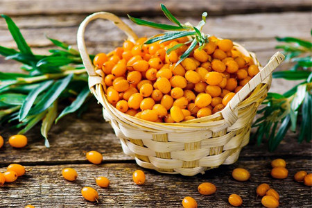 Облепиха для похудения Облепиха для похудения