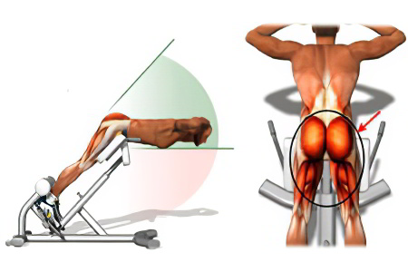 выполнения обратной гиперэкстензии выполнения обратной гиперэкстензии