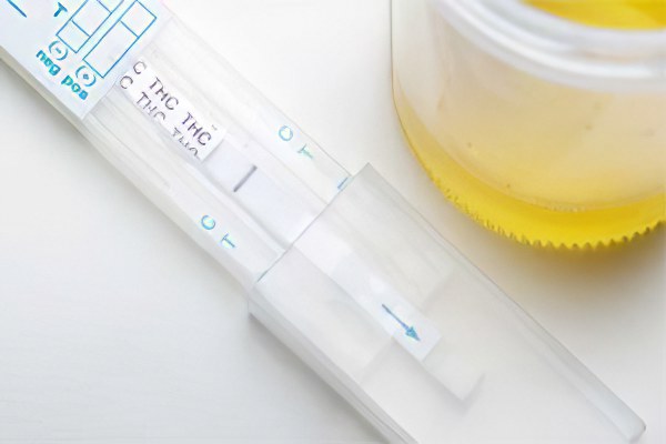 Общие правила Общие правила