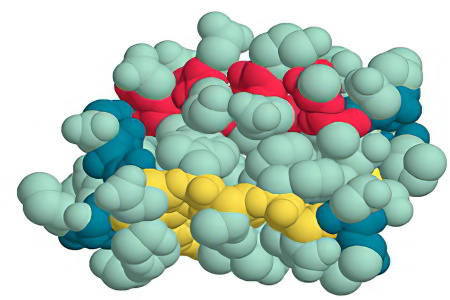 Общий белок Общий белок