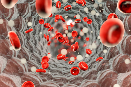 Онкогематологические заболевания Онкогематологические заболевания