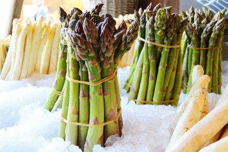 Органы системы пищеварения Органы системы пищеварения