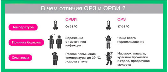 ОРЗ и ОРВИ ОРЗ и ОРВИ