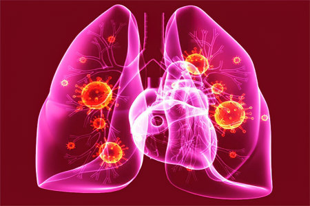 Как проверить Как проверить