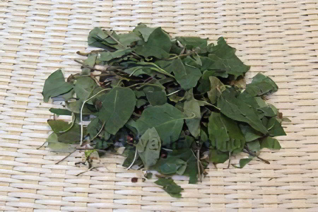 Основы траволечения Основы траволечения