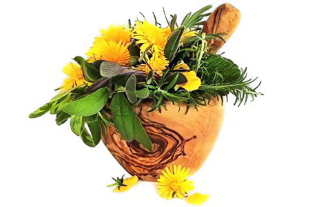 Основные принципы траволечения Основные принципы траволечения