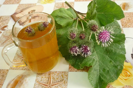 Отвар лопуха Отвар лопуха