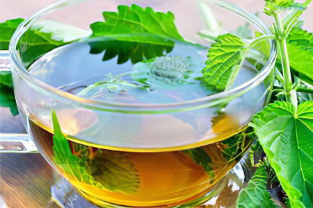 Отвар крапивы Отвар крапивы