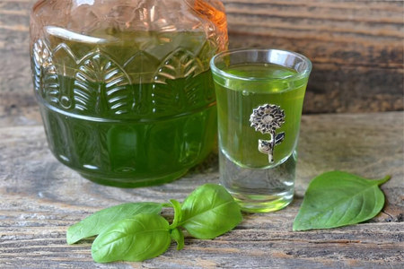 Отвар базилика Отвар базилика