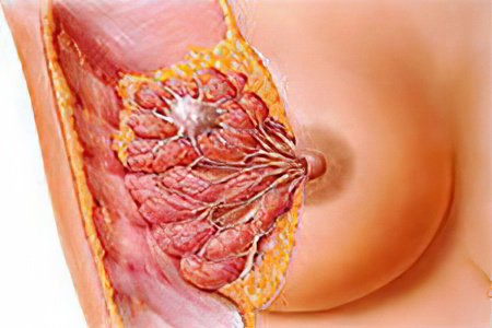 Патологические причины Патологические причины